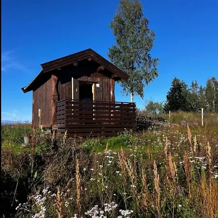 Small Cabbin With Shared Bathroom And Kitchen Near By *